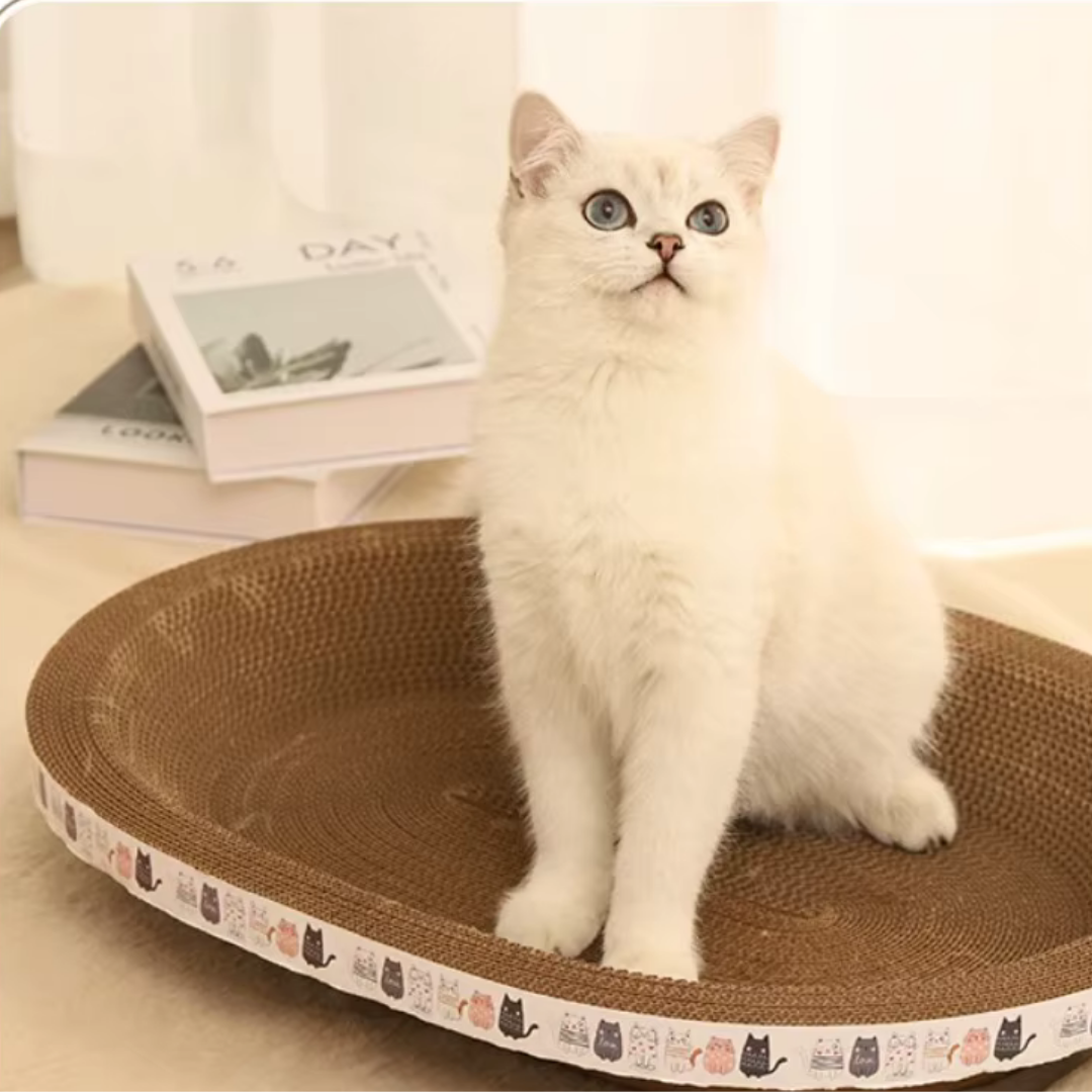 Save Your Furniture, Happy Cat!
